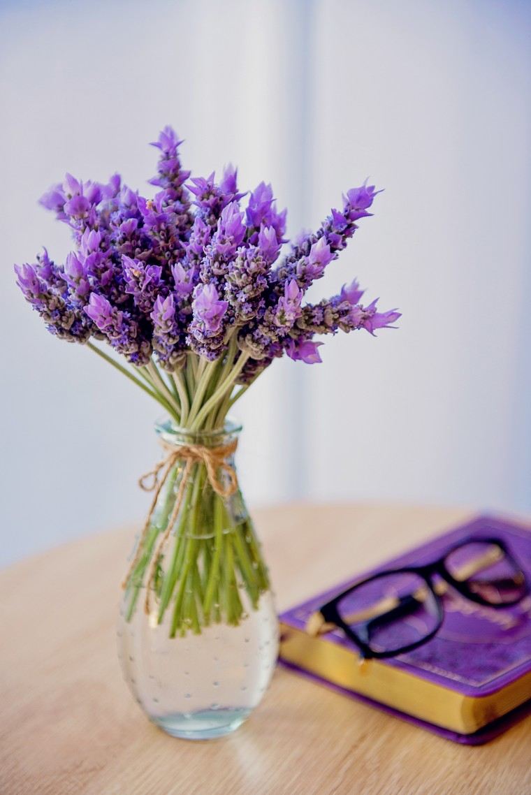 lavanda camera da letto verde