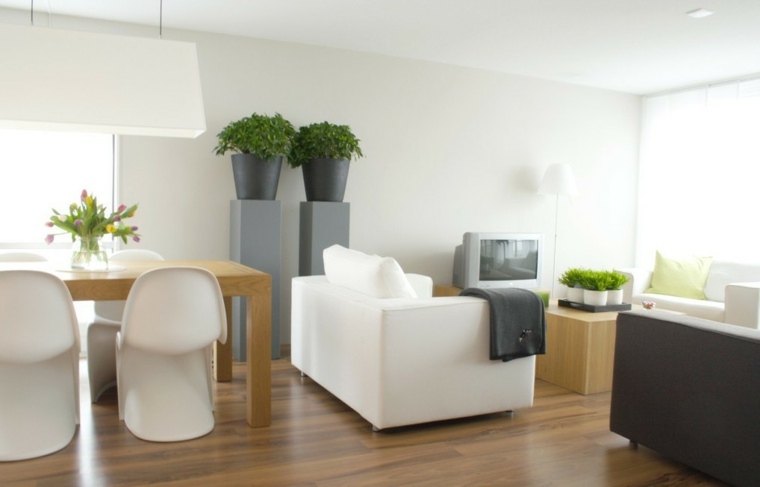 žalių medžiagų idėja interjero svetainės išdėstymas balta sofos pagalvė medinis stalas