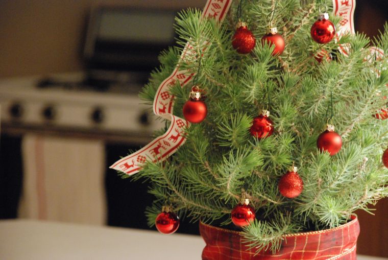 vazoninis medis-Kalėdų-dekoracija-raudoni rutuliai