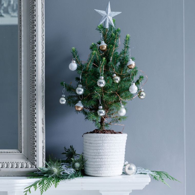 small-christmas-tree-in-pot-house-decoration