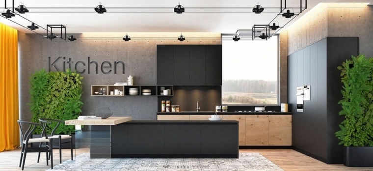 fekete konyha modell és fa növények belső bútorok