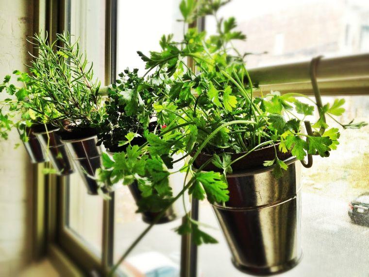 Outdoor-vegetal-wall-do-it-yourself-flower-pot-ikea-suspension-herbs-fresh-flowers