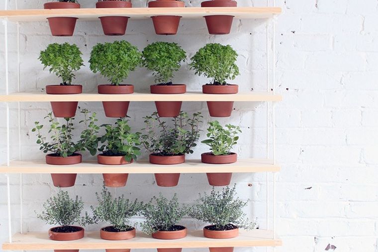 屋外-植物-壁-日曜大工-垂直-庭-植木鉢-アイデア-棚