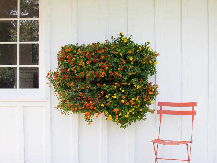 sienos-augalas-lauko-pasidaryk pats-vertikalus-jardiniere-sieninis puodas-kabančios gėlės