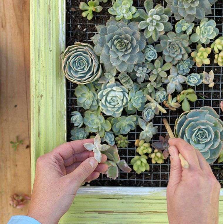 Uradi sam vanjski zeleni zid diy-deco-succulent-plant-vertical-garden