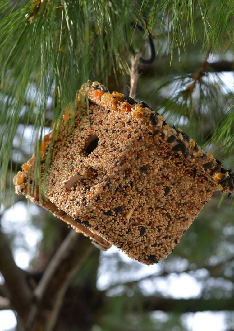 idea di mangiatoia per uccelli casa spazio per appendere giardino recupero