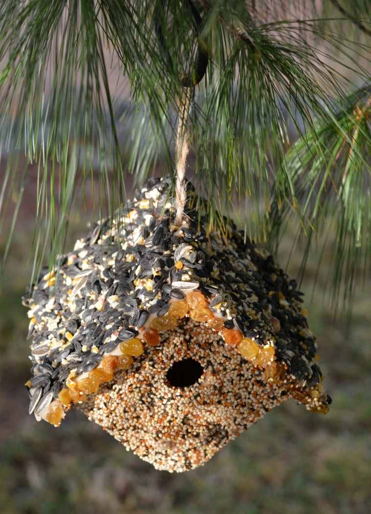 mangiatoia-per-uccelli-idea-giardino-nido-per-uccelli