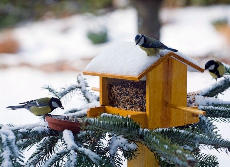 madárház-fa-ház-készítési ötletek