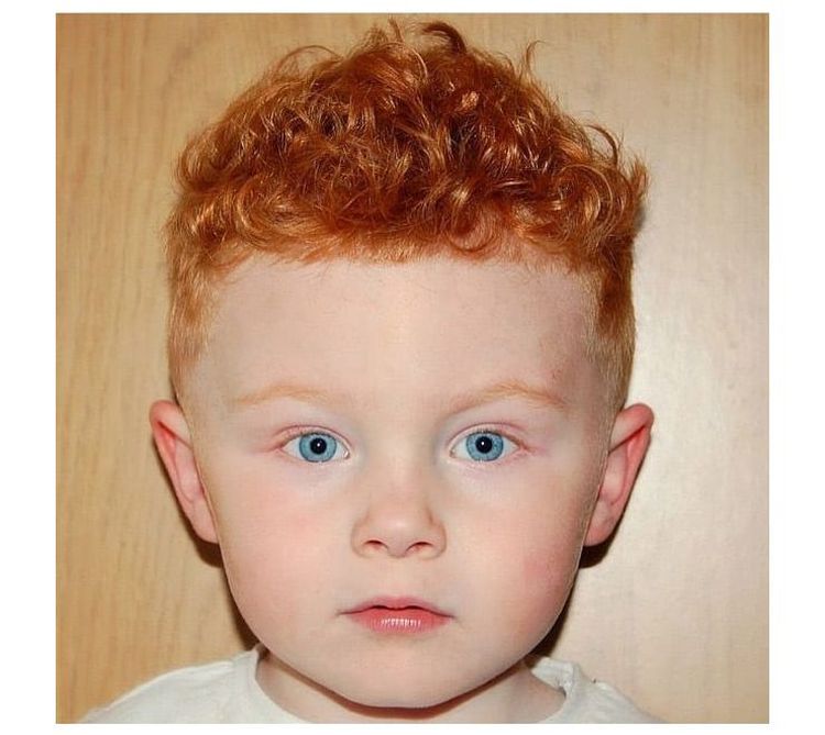 短いヘアカット小さな男の子の赤い髪
