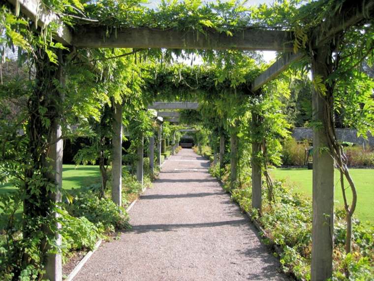 ukras pergola vrtovi rustikalni stil zelene biljke