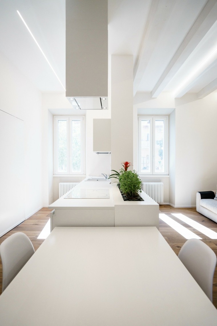 modernaus dizaino virtuvės valgomojo idėjos kėdės augalai deko