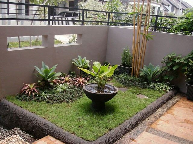 malo moderno dvorište s palminim vrtom