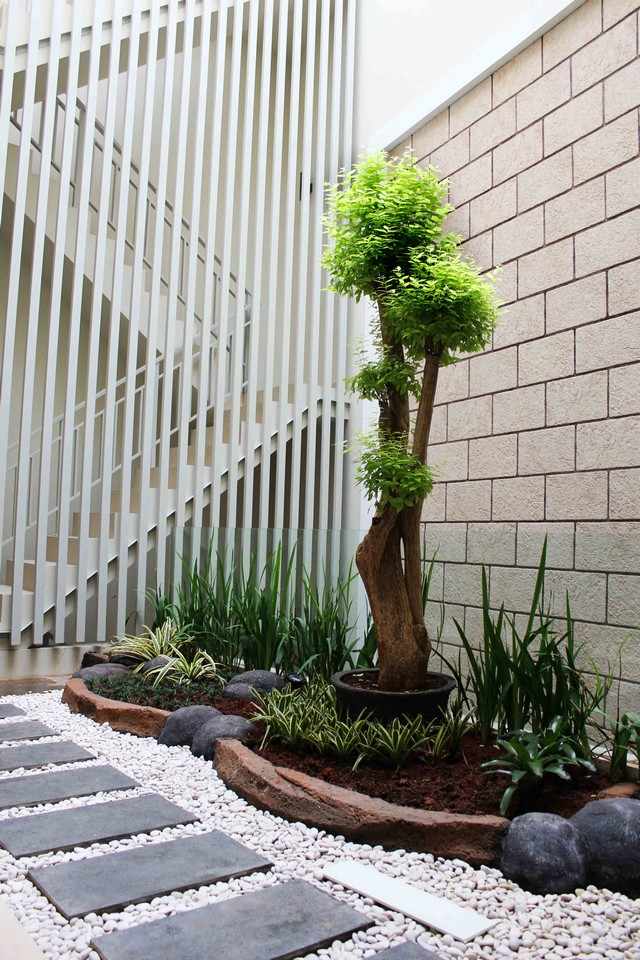 male moderne vrtne dizajnerske biljke