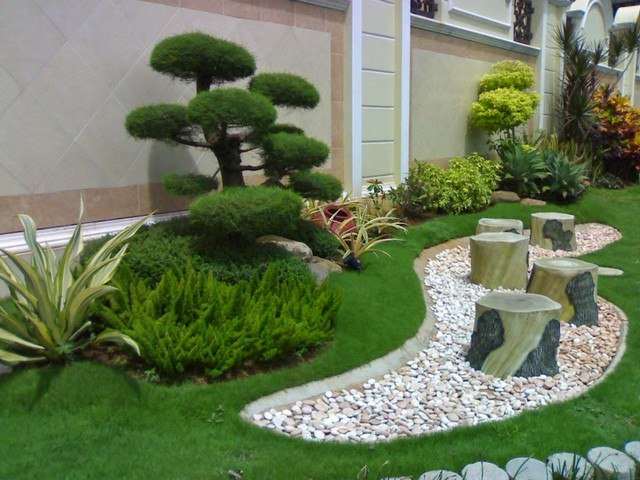 mali moderni vrt orezana vegetacija
