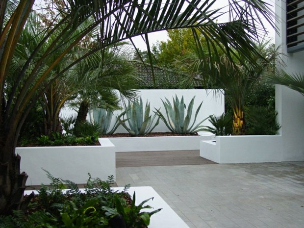 arhitektonski vrt beton posađene kaktuse palme