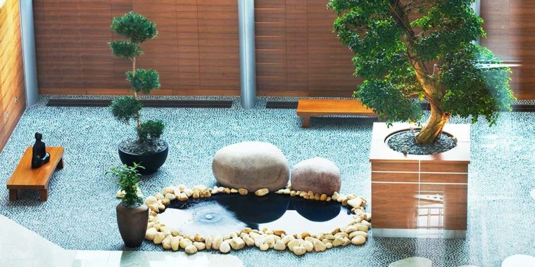 bonsai kis zen kert