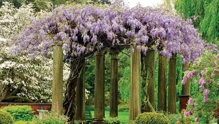 Pergola vanjski izgled pejzaža sjena penjačica