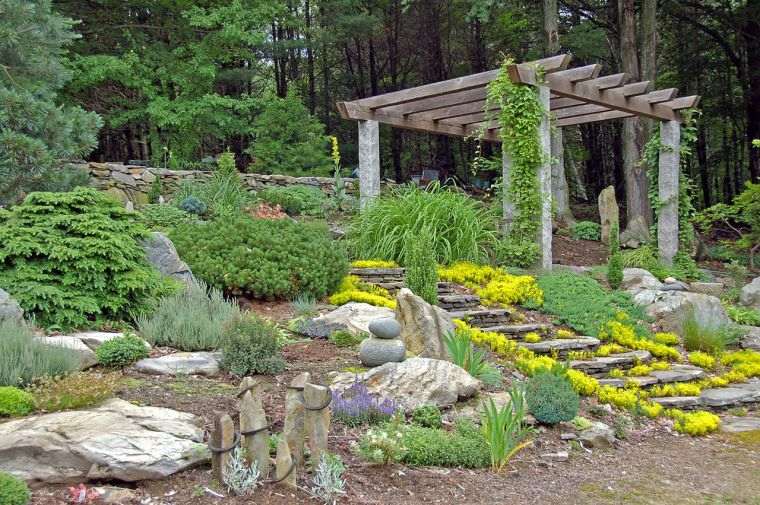 pergola tonelle biljni vrt dizajn zena