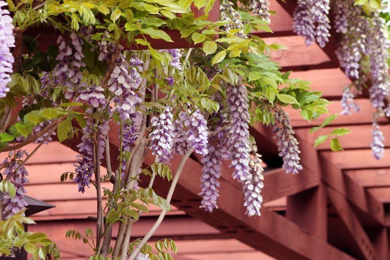 ideje za uređenje dvorišta hlad pergola