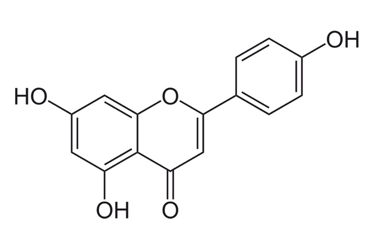 piante-contro-cancro-apigenina