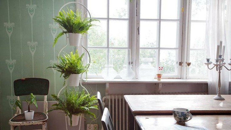 modernaus interjero gėlių vazonų laikikliai