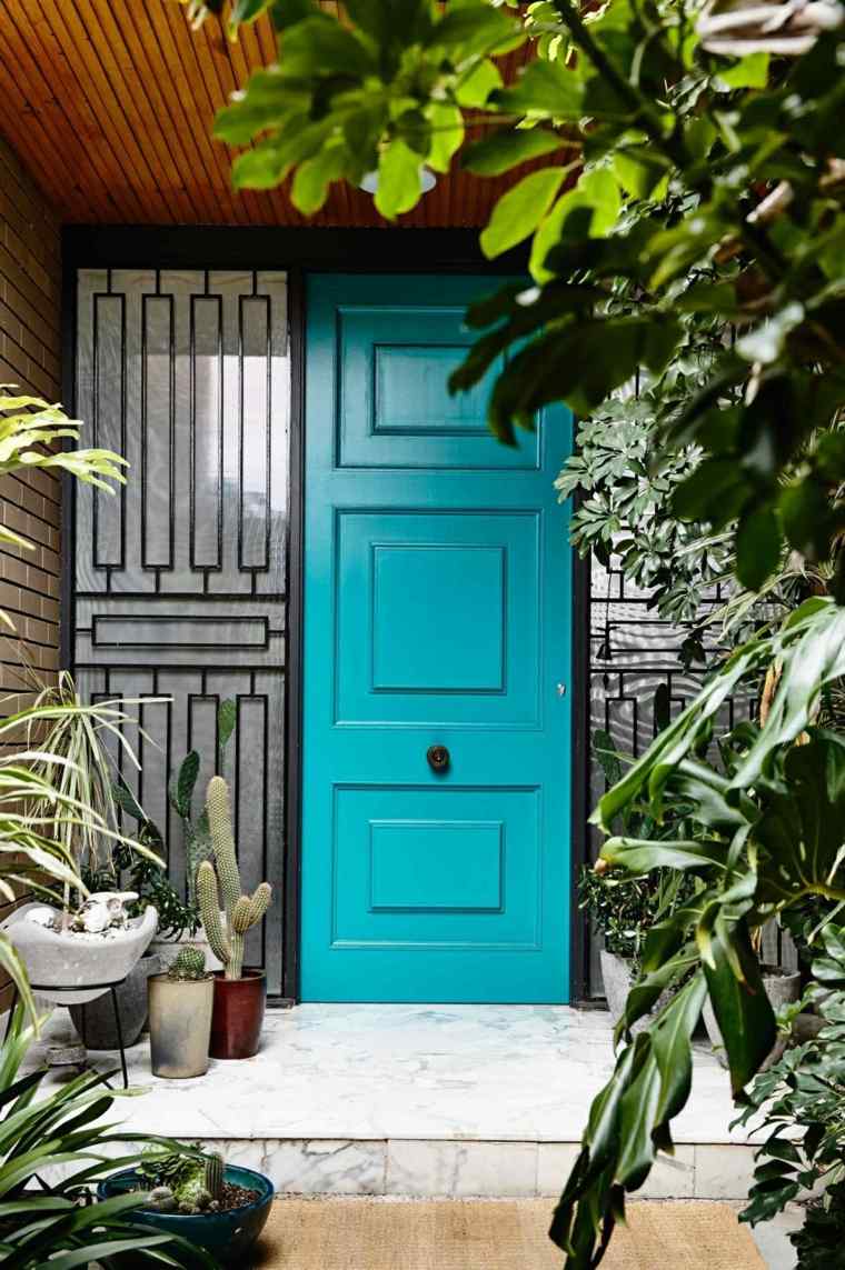 medinės įėjimo durys mėlyni dažai išorinis dizainas mediniai lubų gėlių vazonai