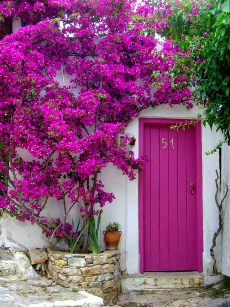 Bejárati ajtó rózsaszín fa ötlet a tereprendezés külső