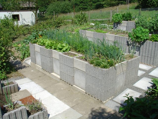 コンクリートブロック野菜園