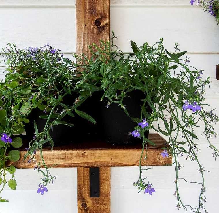 Mensola in legno per fioriera idea pianta da orto