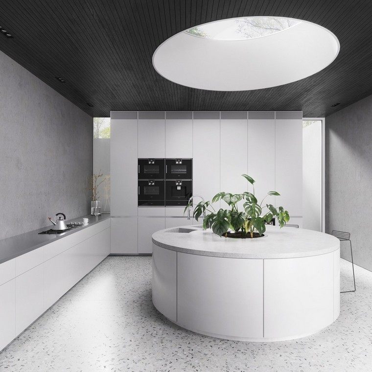 Stoglangio virtuvės salos idėjos augalas balta virtuvė