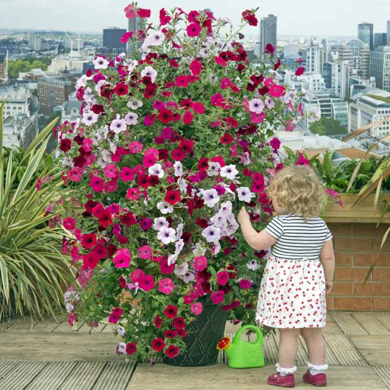 屋外の植木鉢の庭の小さなスペース