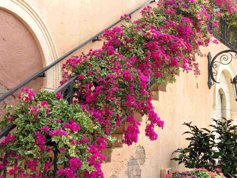 pianta di facciata in fiore che cade