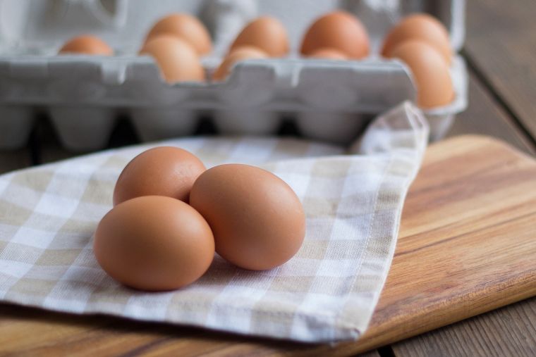 sirova jaja opasnost od salmonele