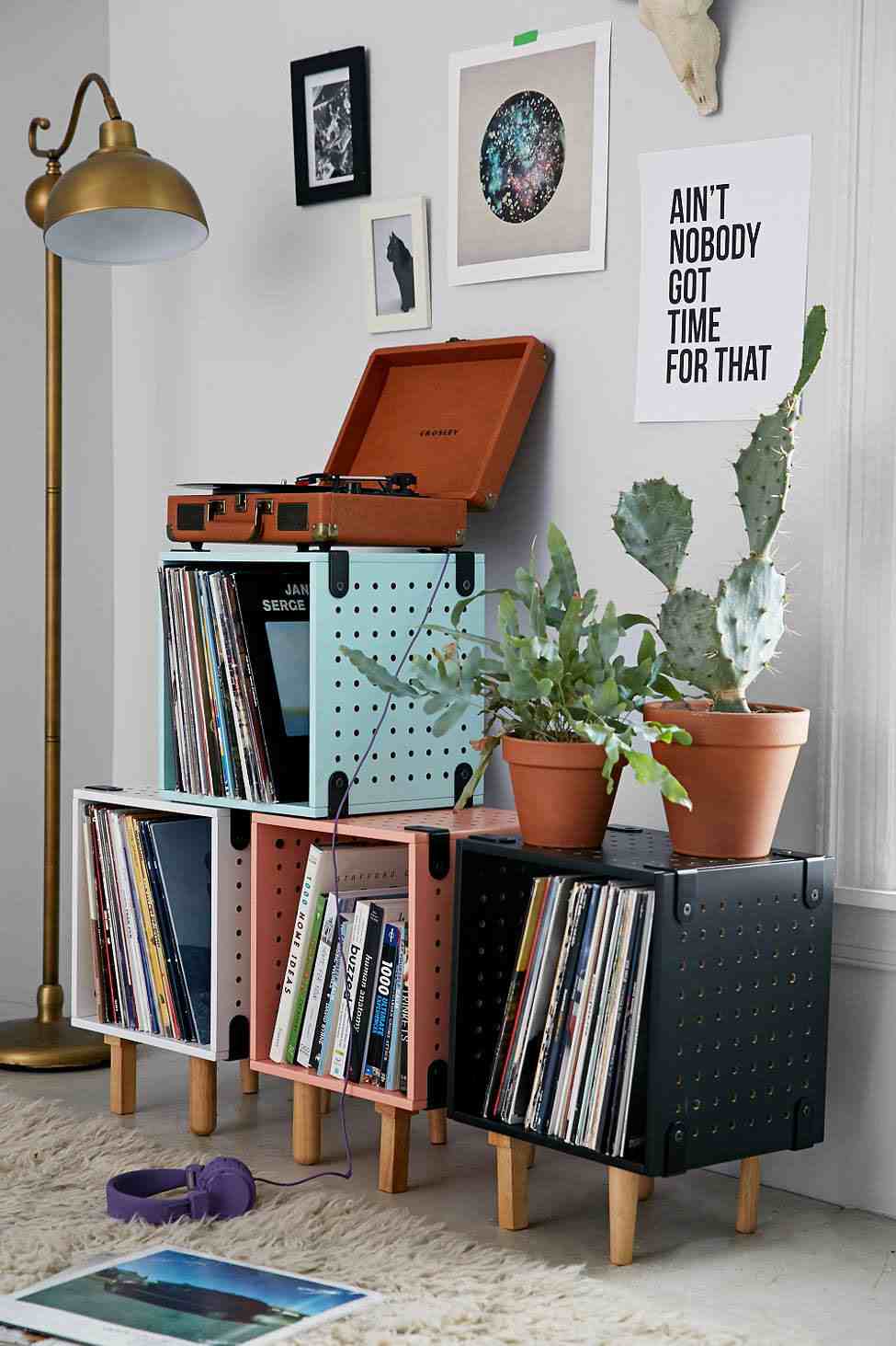 moderna idea di stoccaggio in vinile idee per la decorazione della parete di piante succulente cornici pavimento in moquette