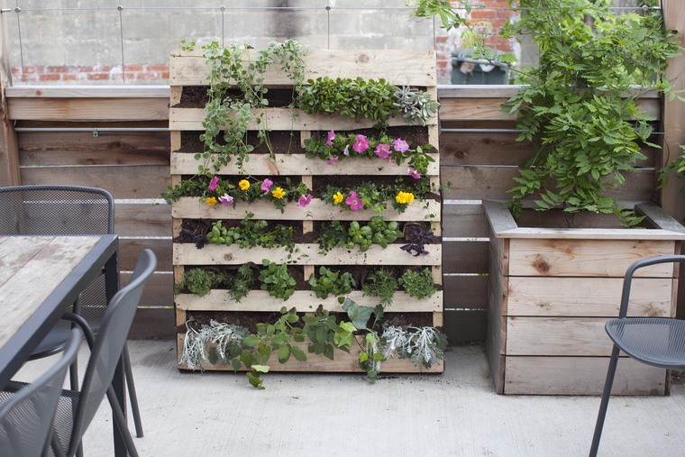 pallet in legno per un moderno giardino verticale