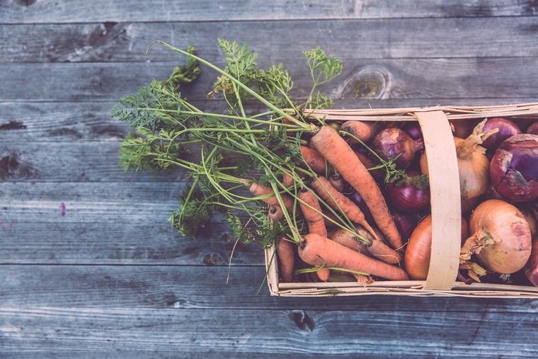 dieta intuizione pasto salute perdere peso vivere meglio