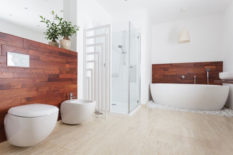 modernus vonios kambarys su mediniu dušu