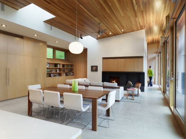 modernus-palėpės namas-Kanada-graikinių riešutų medžio dailylentės