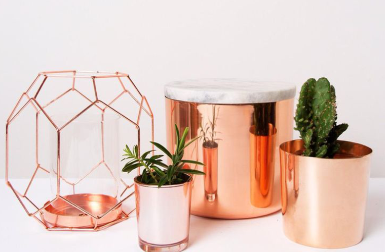oggetti di design rame pianta succulenta fiori in vaso idea
