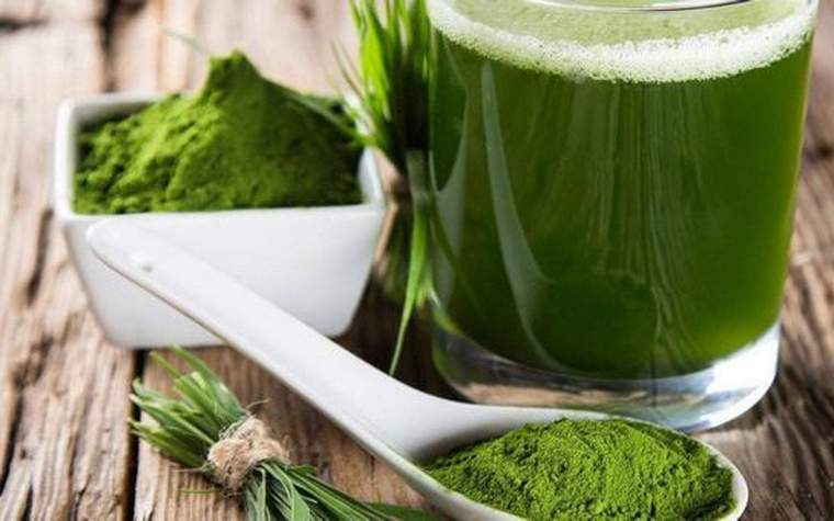 spirulinos receptai svorio netekimui