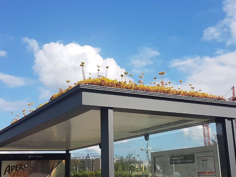 tetto verde fermata dell'autobus Utrecht