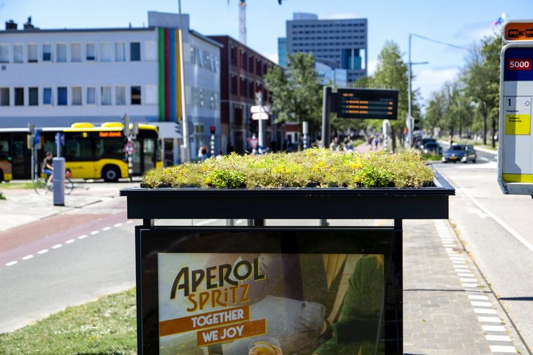 fermata bus Utrecht tetti verdi api