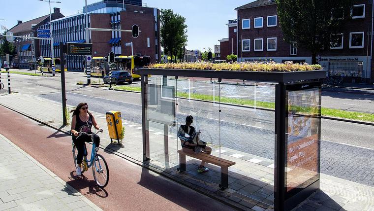 fermate dell'autobus fermate delle api Utrecht