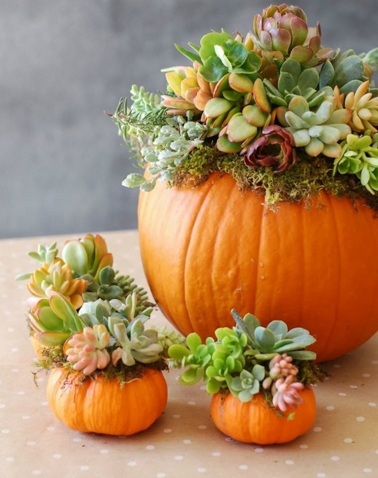 őszi sütőtök deco asztal pozsgások diy ötlet tök növény váza