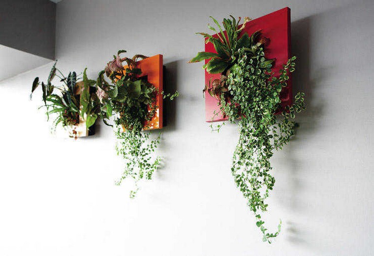 アイデア-壁-装飾-植物-植物