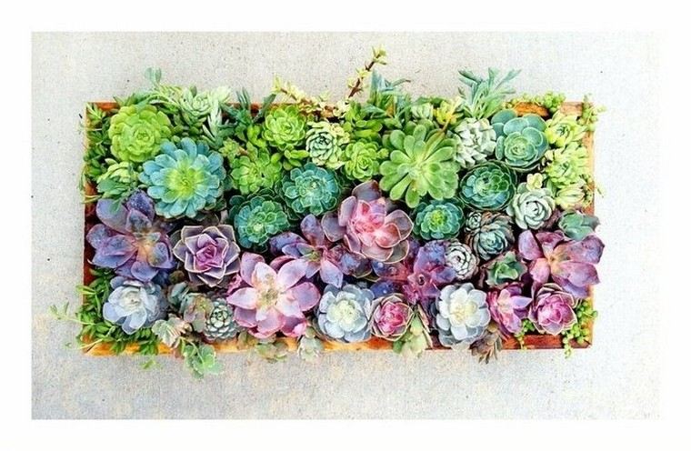 vegetal-wall-painting-idea-wall-art