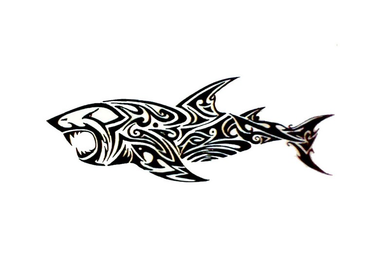 Polinezijos tatuiruotės idėja genties tatuiruotės ryklio tatuiruotė