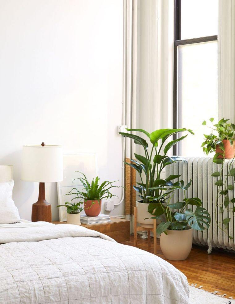 miegamojo idėja su žaliais augalais