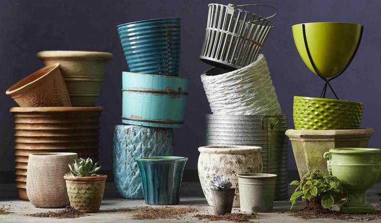 idee per la decorazione del giardino delle piante in vaso