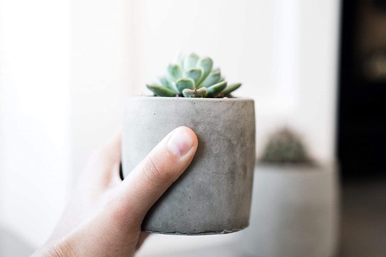 vaso per piante in cemento